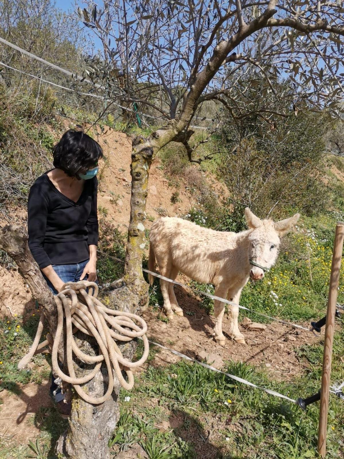 Masia Can Sunyer Agroturismo La Garriga Esterno foto